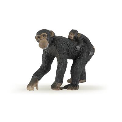 Chimpanzé com a Cria