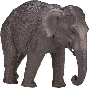 Elefante Asiático