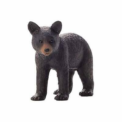 Filhote de Urso Negro Americano