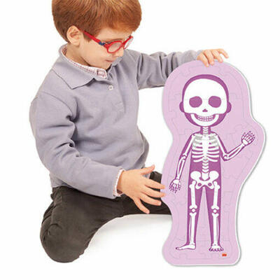 O corpo humano Como eu sou?