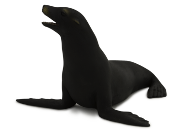  Leão Marinho da Califórnia