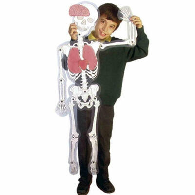 Homem Esqueleto