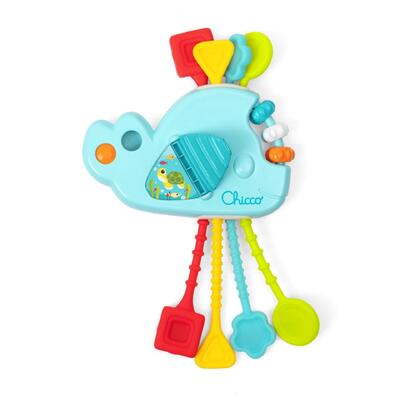 Baleia puxa e descobre