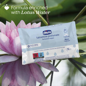 Toalhitas perfumadas - 16 un