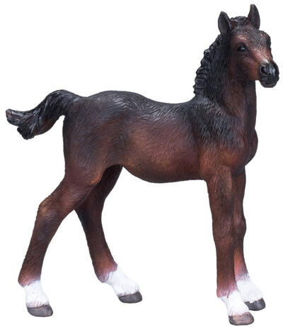 Baía de Potros de Hanover