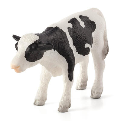 Bezerro Holandês em pé