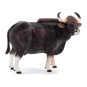 Touro Gaur