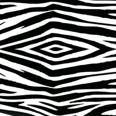 Cartolina decorada com zebra