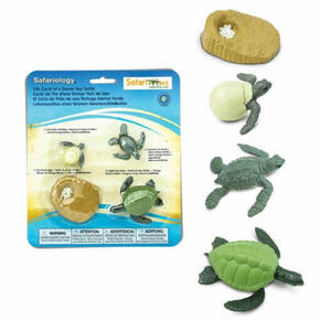 Ciclo de vida da tartaruga