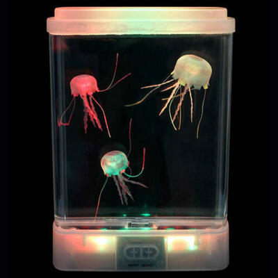 Pequeno tanque sensorial de medusas