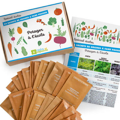 24 pacotes de Sementes