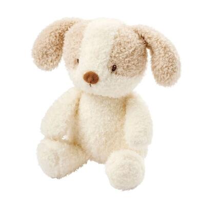 Cão Teddy