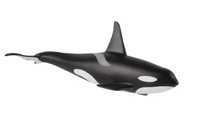 Orca Macho