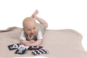 Cartões visuais preto e branco