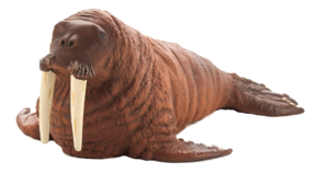 Morsa