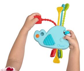 Baleia puxa e descobre