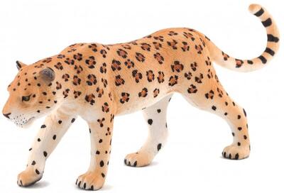 Leopardo
