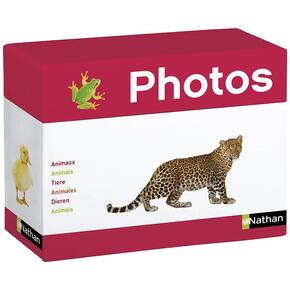 Caixa De Fotografias: Animais