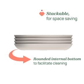 Prato com divisórias - 12m+