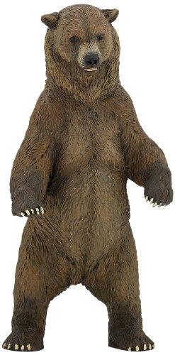 Urso Grizzly