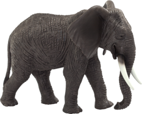 Elefante africano