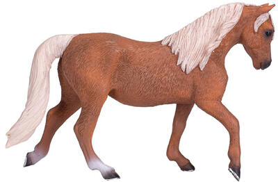 Garanhão Morgan Palomino