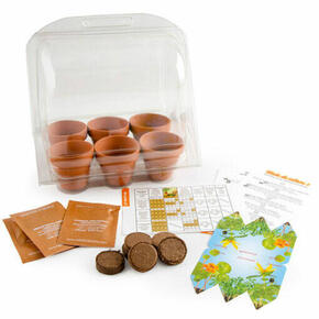 O meu primeiro jardim – Pacote de 6 estufas (36 vasos)