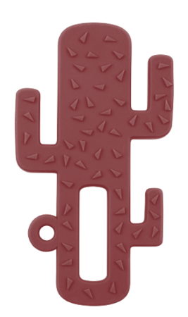 Mordedor Silicone Cactus - Minikoioi