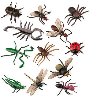 Insectos - Las Figuras 12