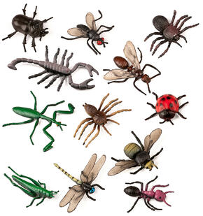 Insects - Figures 12