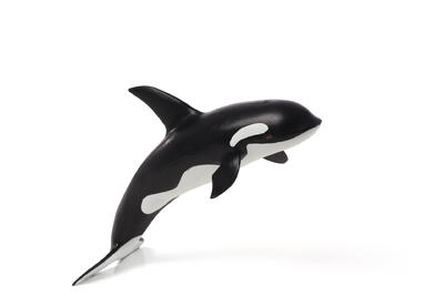 Orca Deluxe