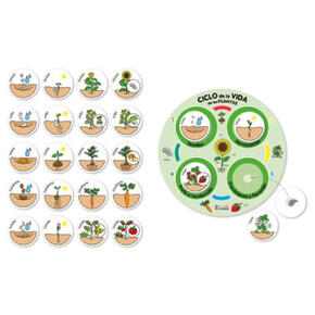 Ciclo de vida das plantas