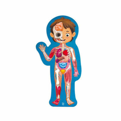 Puzzle do corpo humano – 61 peças