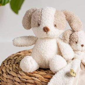 Cão Teddy