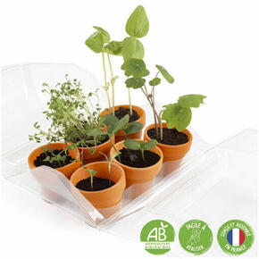 O meu primeiro jardim – Pacote de 6 estufas (36 vasos)